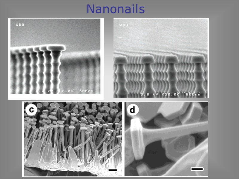 Nanonails